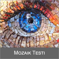Logo-Mozaik Test